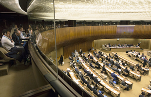 69th World Health Assembly, 2016